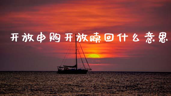 开放申购开放赎回什么意思_https://wap.jnbaishite.cn_金融资讯_第1张