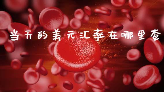 当天的美元汇率在哪里查_https://wap.jnbaishite.cn_全球财富_第1张