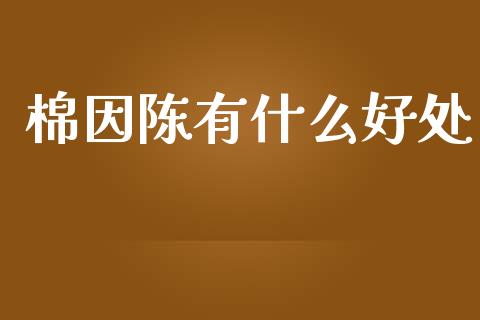 棉因陈有什么好处_https://wap.jnbaishite.cn_金融资讯_第1张