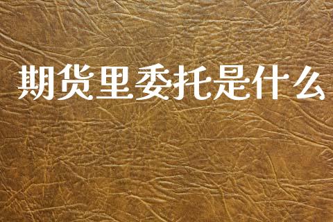 期货里委托是什么_https://wap.jnbaishite.cn_全球财富_第1张