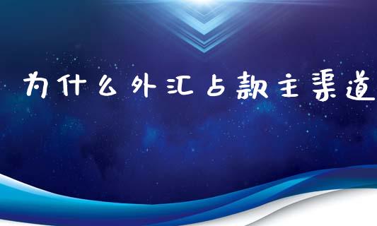 为什么外汇占款主渠道_https://wap.jnbaishite.cn_期货资讯_第1张