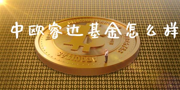 中欧睿达基金怎么样_https://wap.jnbaishite.cn_期货资讯_第1张