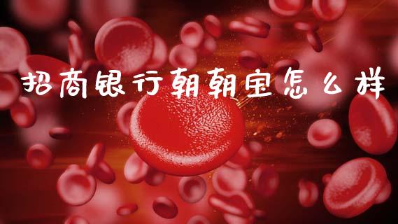 招商银行朝朝宝怎么样_https://wap.jnbaishite.cn_全球财富_第1张