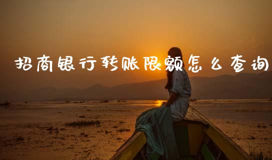 招商银行转账限额怎么查询_https://wap.jnbaishite.cn_期货资讯_第1张