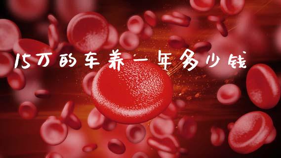 15万的车养一年多少钱_https://wap.jnbaishite.cn_期货资讯_第1张