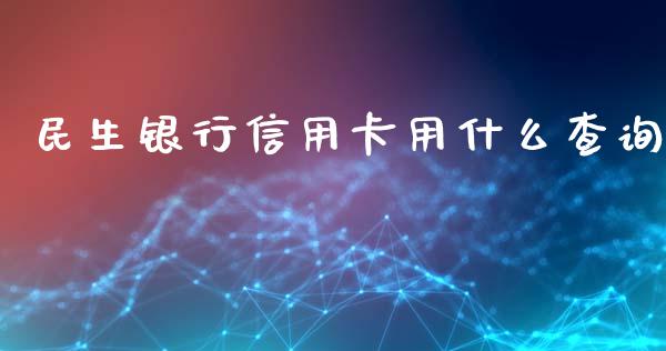 民生银行信用卡用什么查询_https://wap.jnbaishite.cn_期货资讯_第1张