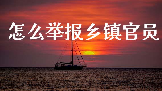 怎么举报乡镇官员_https://wap.jnbaishite.cn_理财投资_第1张