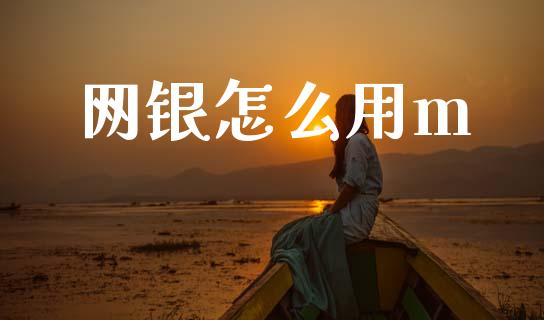 网银怎么用m_https://wap.jnbaishite.cn_期货资讯_第1张