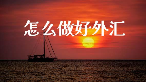 怎么做好外汇_https://wap.jnbaishite.cn_全球财富_第1张