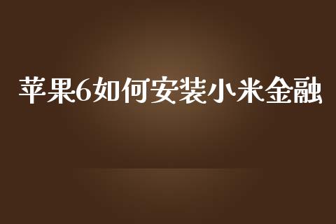 苹果6如何安装小米金融_https://wap.jnbaishite.cn_理财投资_第1张