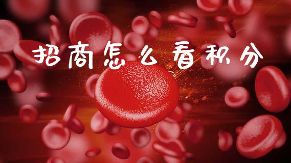 招商怎么看积分_https://wap.jnbaishite.cn_理财投资_第1张