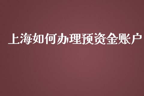 上海如何办理预资金账户_https://wap.jnbaishite.cn_期货资讯_第1张