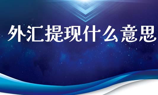 外汇提现什么意思_https://wap.jnbaishite.cn_理财投资_第1张