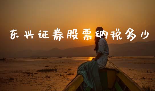 东兴证券股票纳税多少_https://wap.jnbaishite.cn_理财投资_第1张