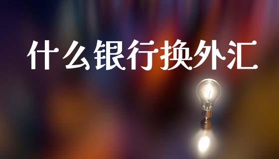 什么银行换外汇_https://wap.jnbaishite.cn_理财投资_第1张