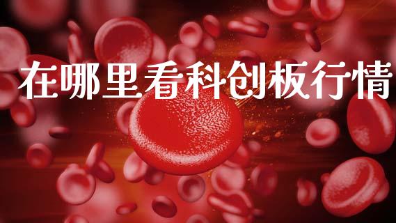 在哪里看科创板行情_https://wap.jnbaishite.cn_理财投资_第1张