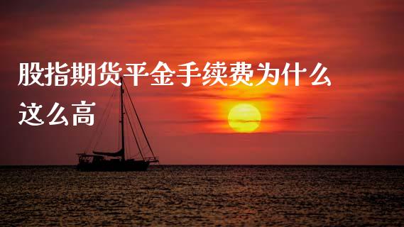 股指期货平金手续费为什么这么高_https://wap.jnbaishite.cn_期货资讯_第1张