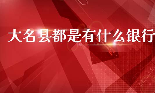 大名县都是有什么银行_https://wap.jnbaishite.cn_理财投资_第1张