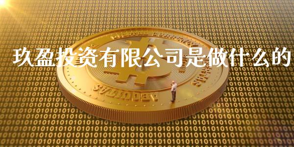 玖盈投资有限公司是做什么的_https://wap.jnbaishite.cn_金融资讯_第1张