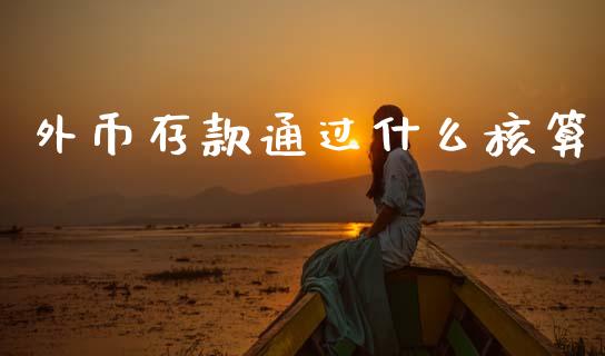 外币存款通过什么核算_https://wap.jnbaishite.cn_金融资讯_第1张