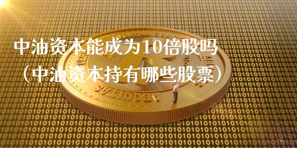 中油资本能成为10倍股吗（中油资本持有哪些股票）_https://wap.jnbaishite.cn_金融资讯_第1张