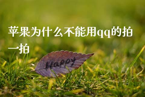 苹果为什么不能用qq的拍一拍_https://wap.jnbaishite.cn_期货资讯_第1张