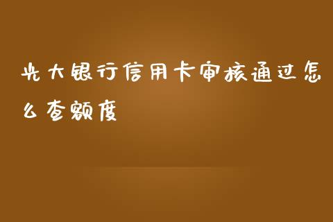 光大银行信用卡审核通过怎么查额度_https://wap.jnbaishite.cn_全球财富_第1张