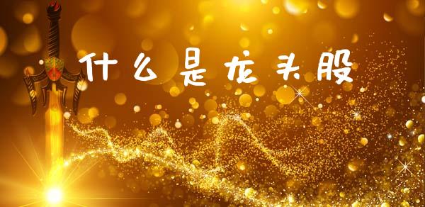 什么是龙头股_https://wap.jnbaishite.cn_金融资讯_第1张