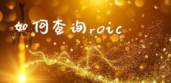 如何查询roic_https://wap.jnbaishite.cn_理财投资_第1张