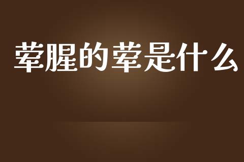 荤腥的荤是什么_https://wap.jnbaishite.cn_理财投资_第1张