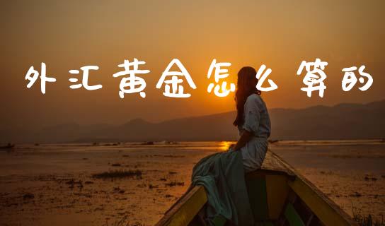 外汇黄金怎么算的_https://wap.jnbaishite.cn_全球财富_第1张