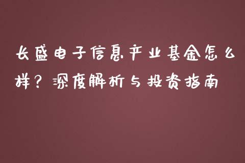 长盛电子信息产业基金怎么样？深度解析与投资指南_https://wap.jnbaishite.cn_期货资讯_第1张