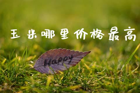 玉米哪里价格最高_https://wap.jnbaishite.cn_金融资讯_第1张