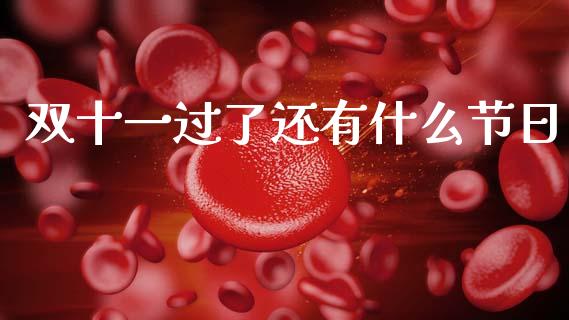 双十一过了还有什么节日_https://wap.jnbaishite.cn_期货资讯_第1张
