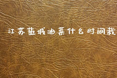 江苏盐城油菜什么时间栽_https://wap.jnbaishite.cn_金融资讯_第1张
