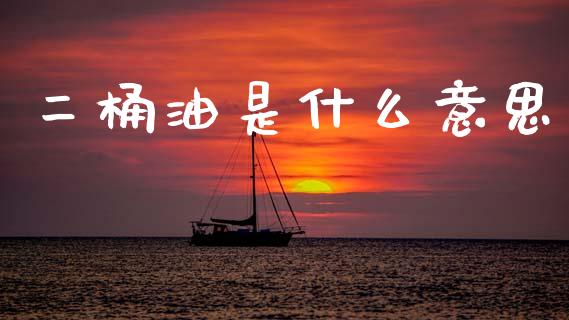 二桶油是什么意思_https://wap.jnbaishite.cn_全球财富_第1张