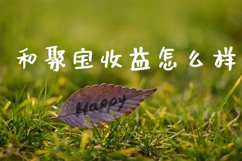 和聚宝收益怎么样_https://wap.jnbaishite.cn_理财投资_第1张