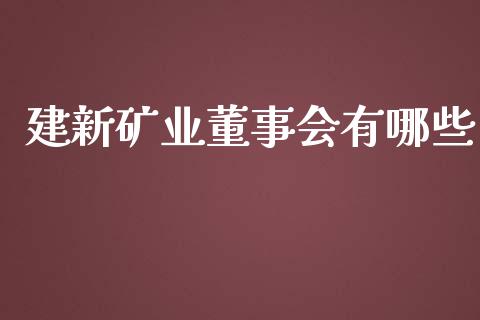 建新矿业董事会有哪些_https://wap.jnbaishite.cn_理财投资_第1张