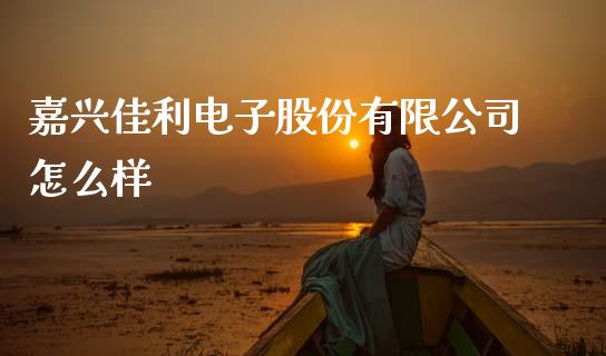 嘉兴佳利电子股份有限公司怎么样_https://wap.jnbaishite.cn_期货资讯_第1张