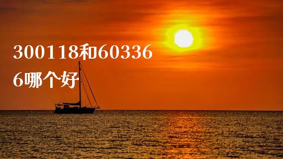 300118和603366哪个好_https://wap.jnbaishite.cn_期货资讯_第1张