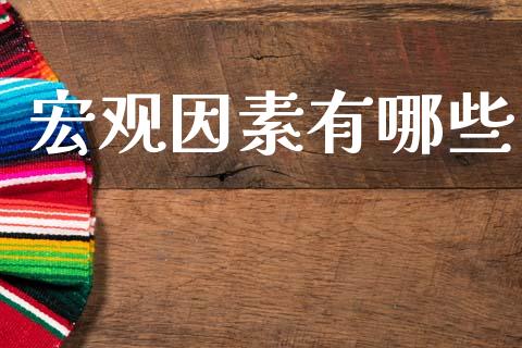 宏观因素有哪些_https://wap.jnbaishite.cn_金融资讯_第1张