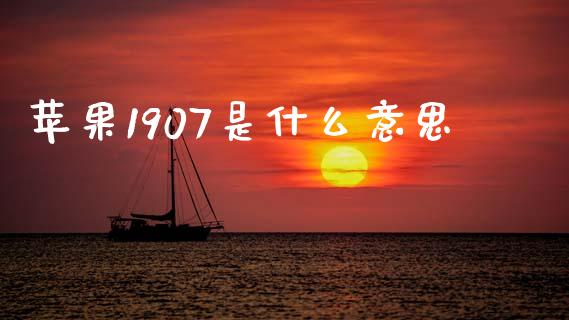 苹果1907是什么意思_https://wap.jnbaishite.cn_金融资讯_第1张