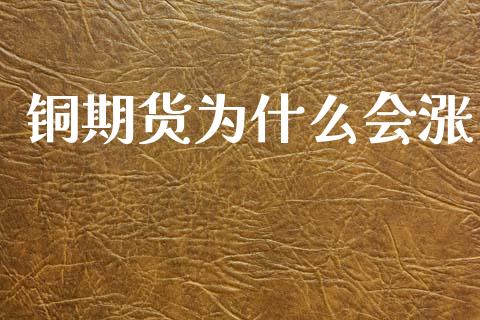 铜期货为什么会涨_https://wap.jnbaishite.cn_理财投资_第1张