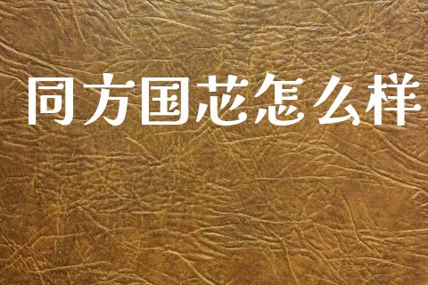 同方国芯怎么样_https://wap.jnbaishite.cn_理财投资_第1张