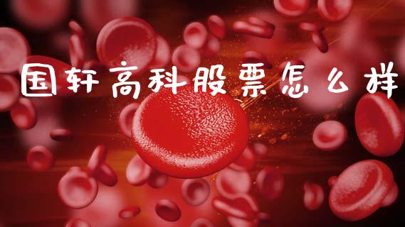 国轩高科股票怎么样_https://wap.jnbaishite.cn_金融资讯_第1张