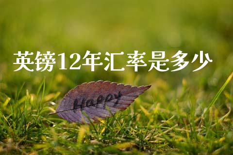 英镑12年汇率是多少_https://wap.jnbaishite.cn_金融资讯_第1张