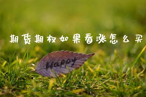 期货期权如果看涨怎么买_https://wap.jnbaishite.cn_期货资讯_第1张