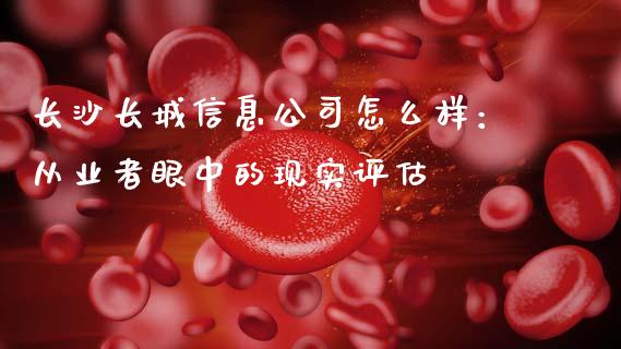 长沙长城信息公司怎么样：从业者眼中的现实评估_https://wap.jnbaishite.cn_全球财富_第1张