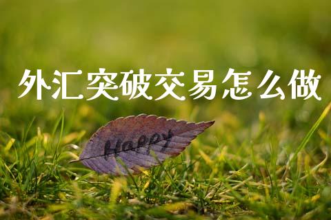 外汇突破交易怎么做_https://wap.jnbaishite.cn_期货资讯_第1张