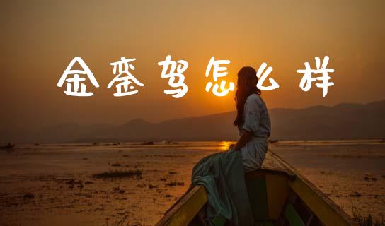 金銮驾怎么样_https://wap.jnbaishite.cn_期货资讯_第1张